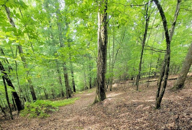 342 Hunter Ridge, Murphy, NC 28906