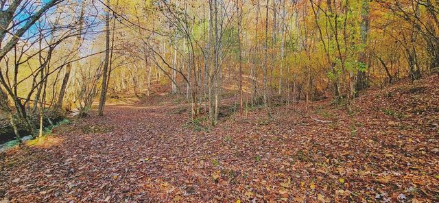 342 Hunter Ridge, Murphy, NC 28906