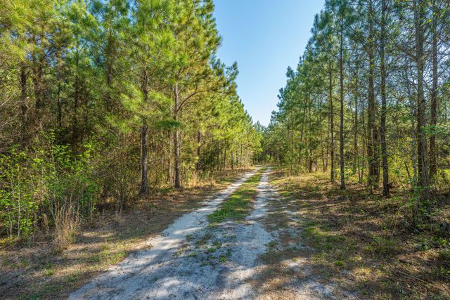 380 Rhode Drive, Cottageville, SC 29435