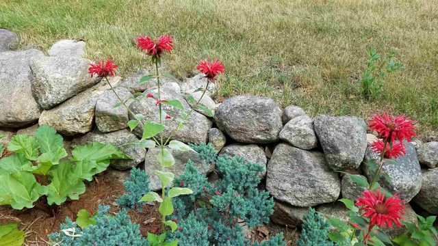 250 Joppa Hill Road, Bedford, NH 03110