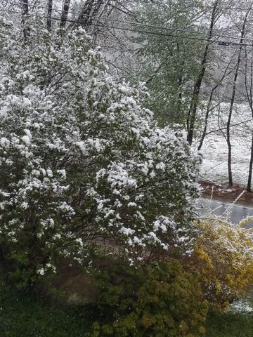 250 Joppa Hill Road, Bedford, NH 03110