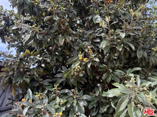 3284 Cherokee Avenue, South Gate, CA 90280