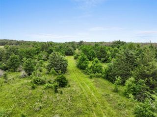 +/- 35 AC Batson Road, Normangee, TX 77871