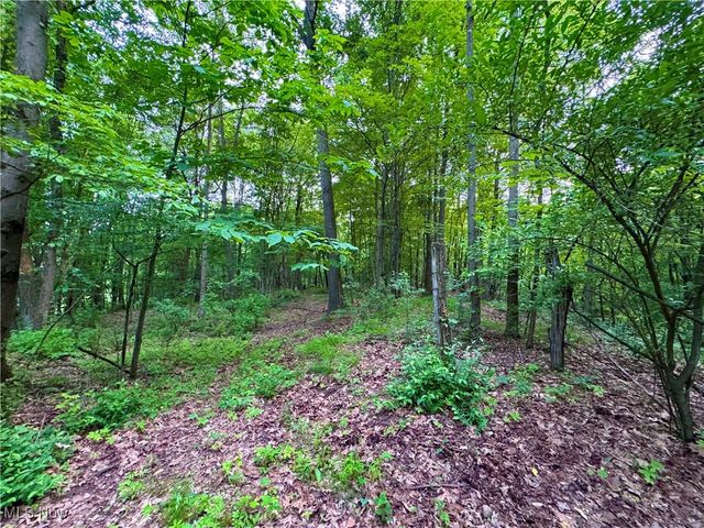 Dundee Strasburg Road NW, Strasburg, OH 44680