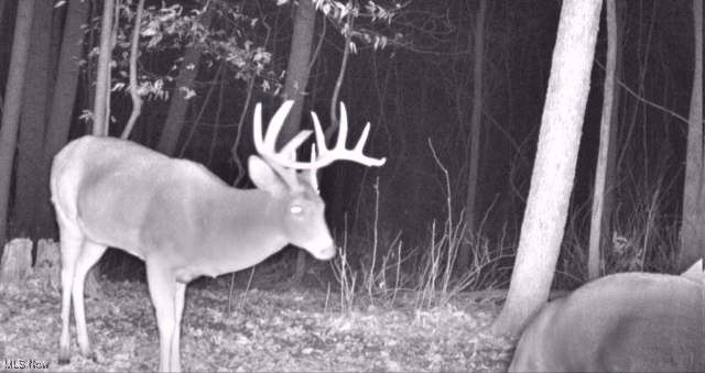 Dundee Strasburg Road NW, Strasburg, OH 44680