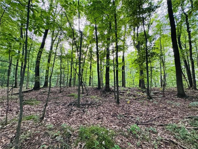 Dundee Strasburg Road NW, Strasburg, OH 44680