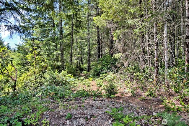 361 NE Southridge Drive, Belfair, WA 98528