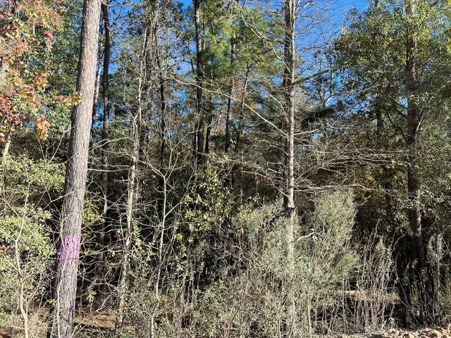 000 West Village Way, Conroe, TX 77302