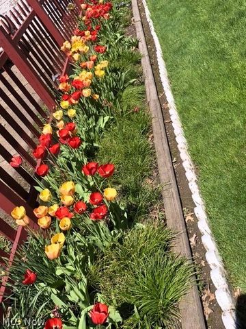 7005 Park Avenue, Cleveland, OH 44105