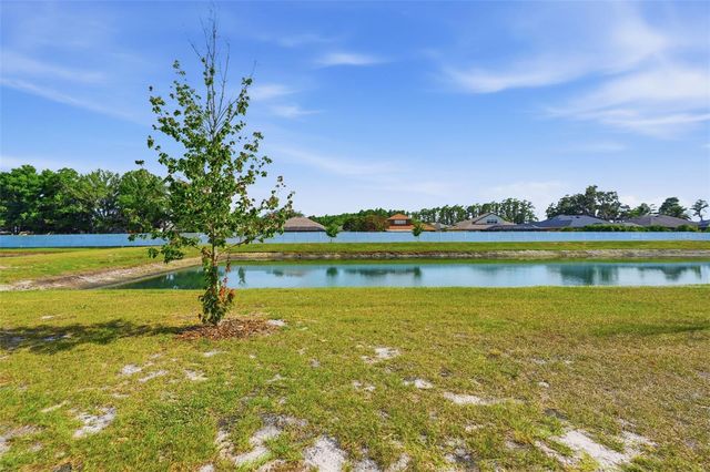 6010 SHINER STREET, Land O Lakes, FL 34638