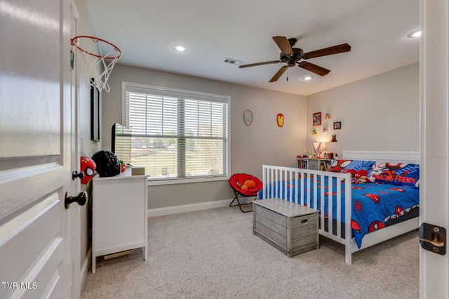 113 Waverly Court, Jonesborough, TN 37659