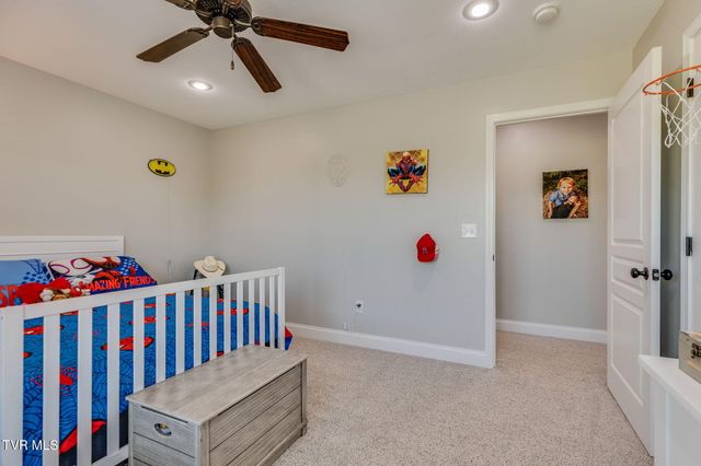 113 Waverly Court, Jonesborough, TN 37659