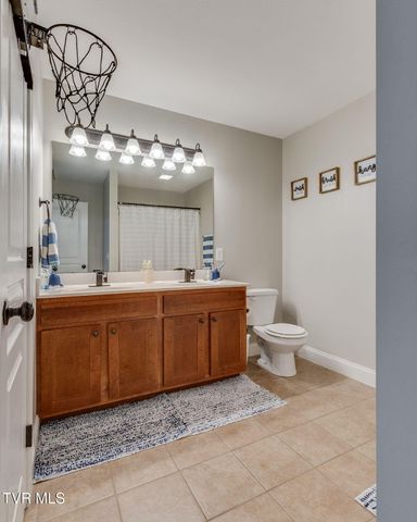 113 Waverly Court, Jonesborough, TN 37659