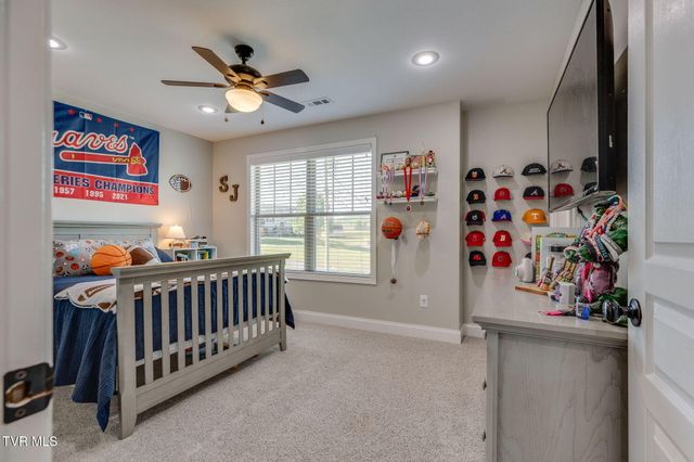 113 Waverly Court, Jonesborough, TN 37659
