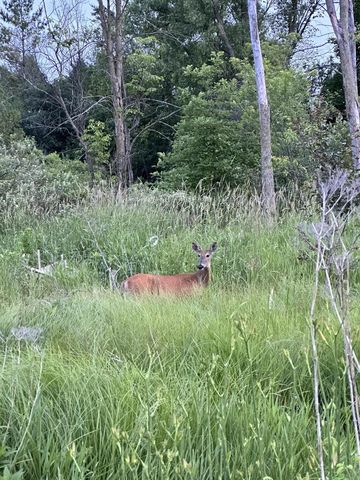 367 Prairie RUN, Grafton, WI 53024