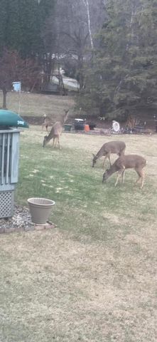 367 Prairie RUN, Grafton, WI 53024