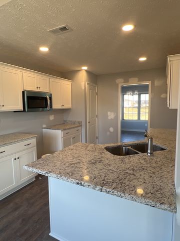 3180 Dusenburg Dr, Christiana, TN 37037