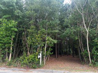 0 E Roosevelt Street, Elloree, SC 29047