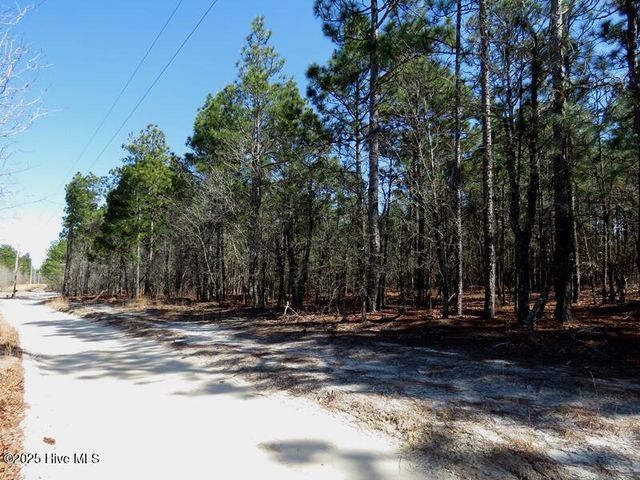 Tbd Boondocks Road, Laurel Hill, NC 28351