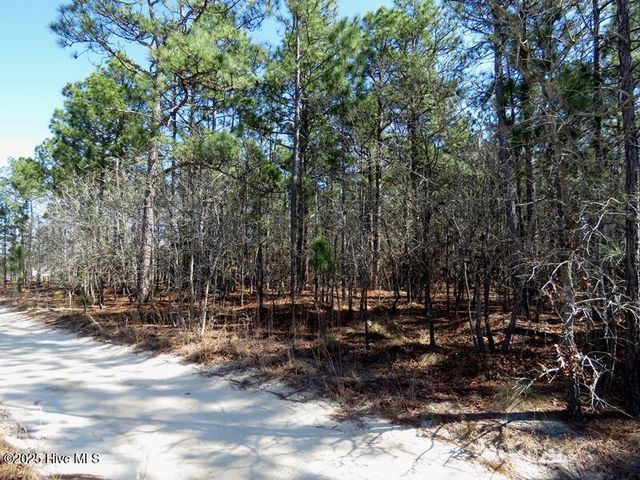 Tbd Boondocks Road, Laurel Hill, NC 28351