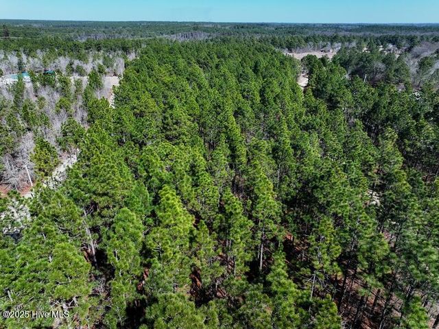 Tbd Boondocks Road, Laurel Hill, NC 28351