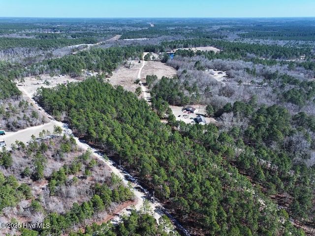 Tbd Boondocks Road, Laurel Hill, NC 28351