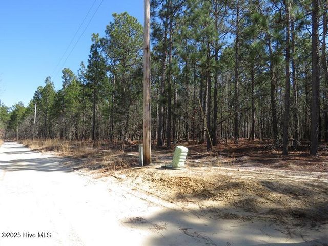 Tbd Boondocks Road, Laurel Hill, NC 28351