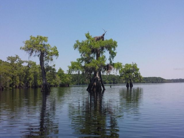 ROYAL TRAILS ROAD, Eustis, FL 32736