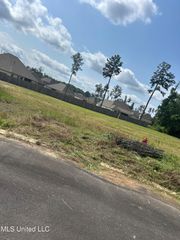 669 Bearing Way, Brandon, MS 39047