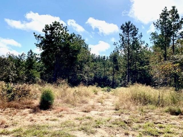 TBD Cr 2310, Woodville, TX 75979