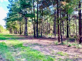 TBD Cr 2310, Woodville, TX 75979