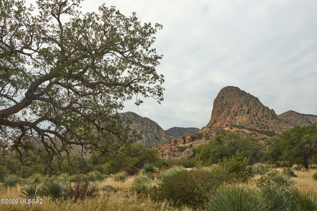 3795 N Owls Butte Trail, Portal, AZ 85632