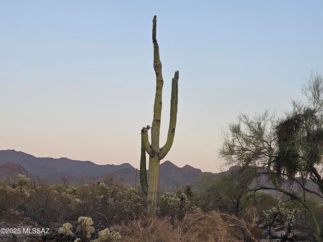 12122 W Lak A Yucca Place, Tucson, AZ 85743