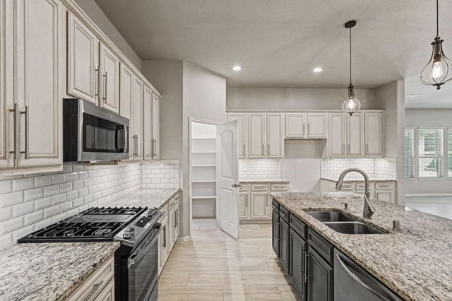 14200 Wallowa Ridge Lane, Conroe, TX 77384