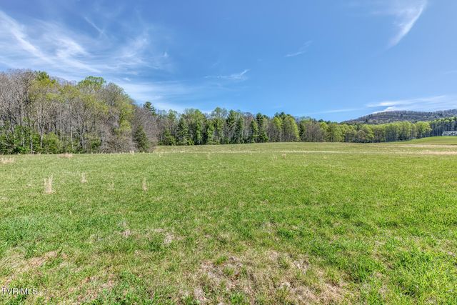 1650 Sluder Road, Shady Valley, TN 37688