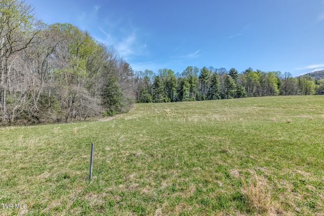 1650 Sluder Road, Shady Valley, TN 37688