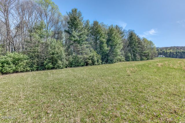 1650 Sluder Road, Shady Valley, TN 37688
