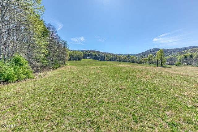 1650 Sluder Road, Shady Valley, TN 37688