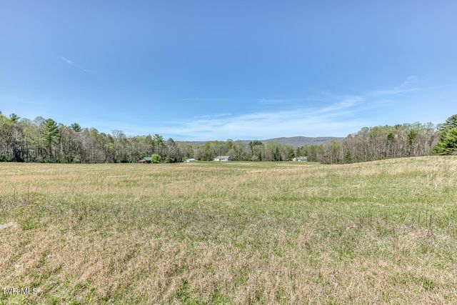 1650 Sluder Road, Shady Valley, TN 37688