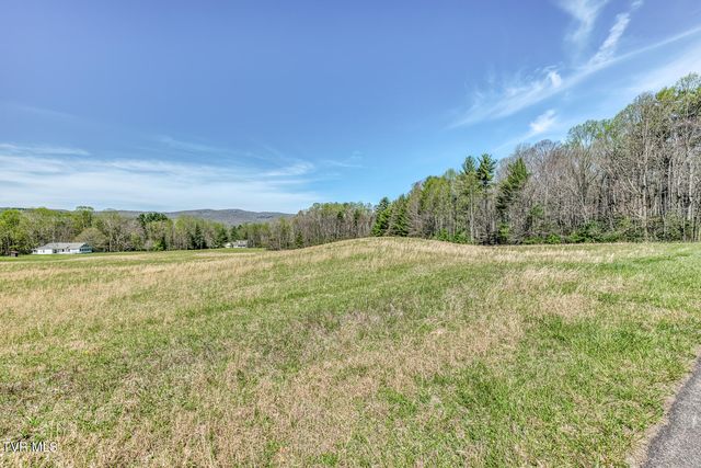 1650 Sluder Road, Shady Valley, TN 37688
