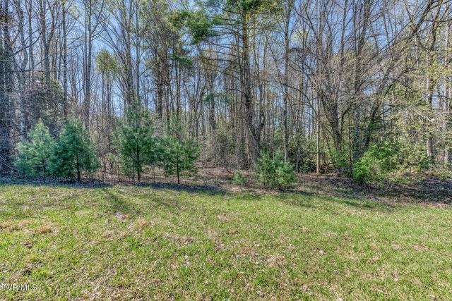 1650 Sluder Road, Shady Valley, TN 37688