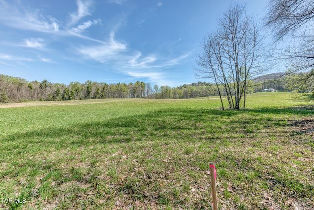 1650 Sluder Road, Shady Valley, TN 37688