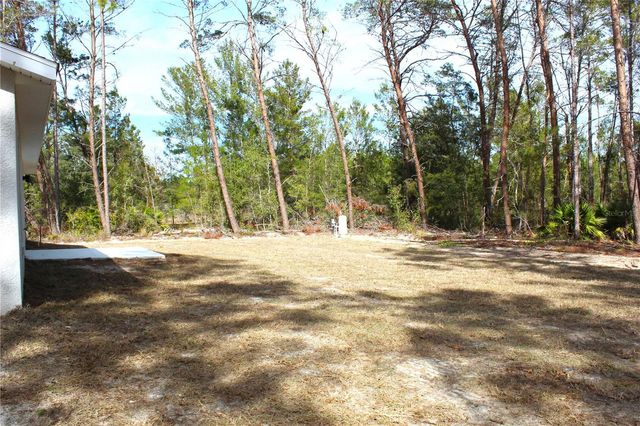 15 FISHER WAY PLACE, Ocklawaha, FL 32179