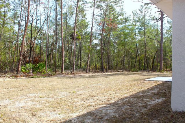 15 FISHER WAY PLACE, Ocklawaha, FL 32179