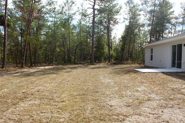 15 FISHER WAY PLACE, Ocklawaha, FL 32179