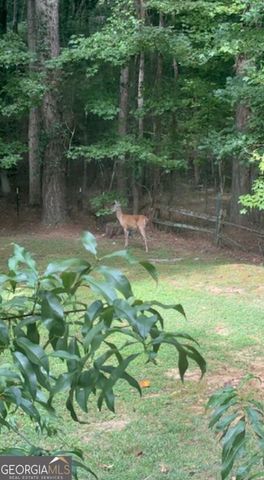 307 Longer Drive, Peachtree City, GA 30269