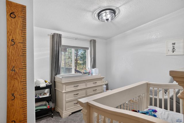 24546 PINEWOOD TR, Hermosa, SD 57744
