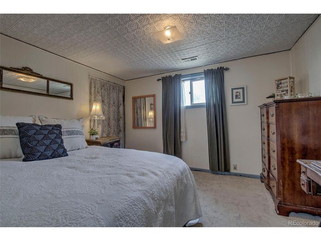 419 E 10th St, Leadville, CO 80461