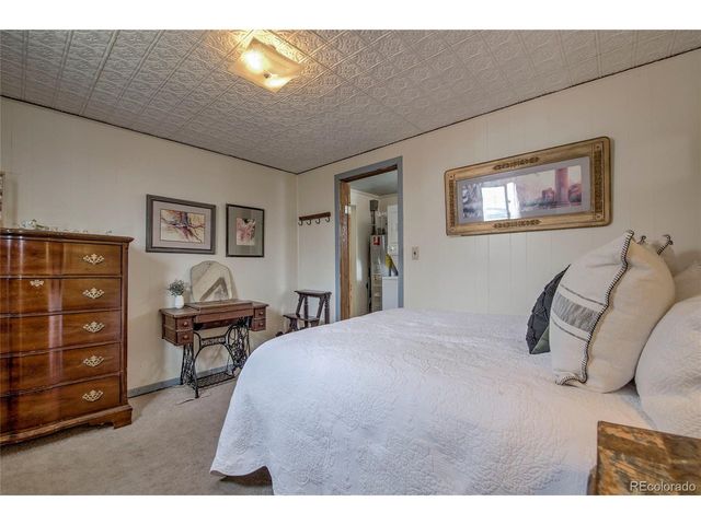 419 E 10th St, Leadville, CO 80461