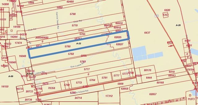 TBD Garcia Road, Batson, TX 77519